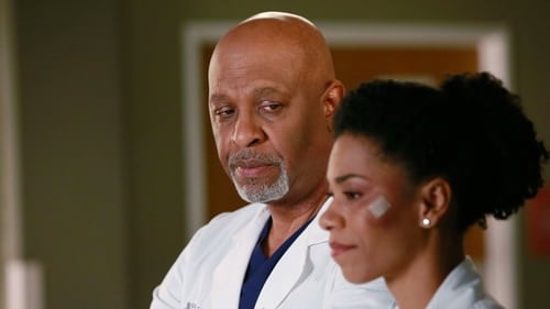 movies/2024-08-24/greys-anatomy-ti9rUQg9H6WabuKNJVKp3Xq3Zje.jpg