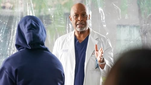 movies/2024-08-24/greys-anatomy-tnftGffvkiSb0qgaOOe1bIrNJjd.jpg