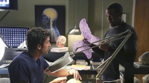 movies/2024-08-24/greys-anatomy-u58PA7MYa7j0GQBRWAljQnZ5TLn.jpg