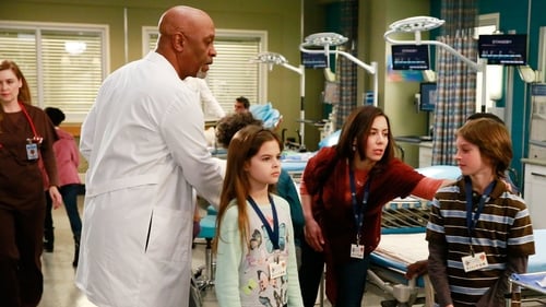movies/2024-08-24/greys-anatomy-uBjIP2cOxa6OjdWt22bjjbBvA0r.jpg