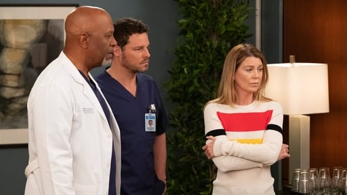 movies/2024-08-24/greys-anatomy-uJBO7KfTsVEXVPPpYeS5heSeuS1.jpg