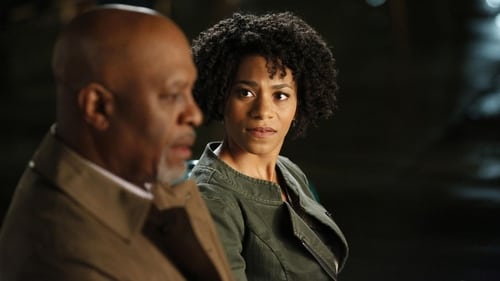 movies/2024-08-24/greys-anatomy-uKhs0FHFMT8N6JE8jq9T1O63lTp.jpg