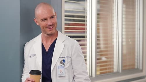 movies/2024-08-24/greys-anatomy-uWAiFHFtTvARbzwaLAUW49bNejS.jpg