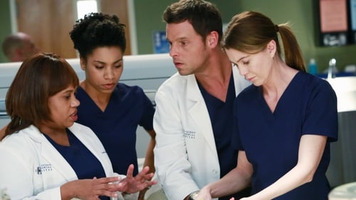 movies/2024-08-24/greys-anatomy-uuhmwIUlQW8uX6IelwjmHUSDLpv.jpg