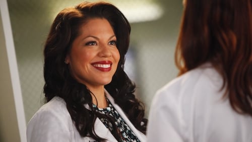 movies/2024-08-24/greys-anatomy-v24qHJqlDOgmW2qxH9NALzpFVz6.jpg