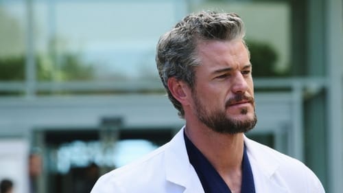 movies/2024-08-24/greys-anatomy-vCwWgvTdgAl1SHKWNFJqrhttVMo.jpg