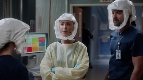 movies/2024-08-24/greys-anatomy-vqEOPFdn4LBD340bMSyApLPPj0O.jpg