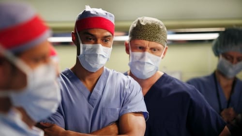 movies/2024-08-24/greys-anatomy-wCHCwVSyjNuJIlZQvXc4y2TrxHZ.jpg