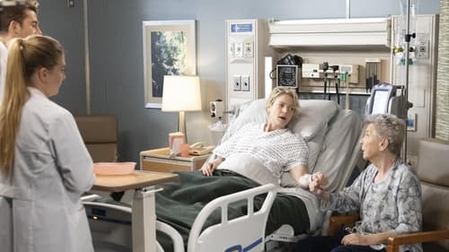 movies/2024-08-24/greys-anatomy-wIRR4mgpxxKDXBem74430p2fdBo.jpg
