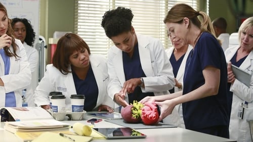 movies/2024-08-24/greys-anatomy-wLjfBe9rP0DvXKBw4Y7wKEgYR7m.jpg