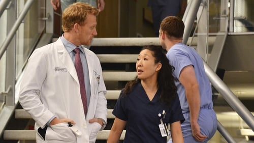 movies/2024-08-24/greys-anatomy-wMSPjEv2CJqUOwtJ6LkqqsQ3WCq.jpg