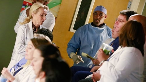 movies/2024-08-24/greys-anatomy-wQg2KPjNwYeJ6p2znVv9ov82Vd4.jpg