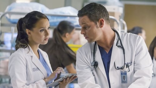 movies/2024-08-24/greys-anatomy-wSvhwuN58mWC8eMdH9uJufXAWHO.jpg