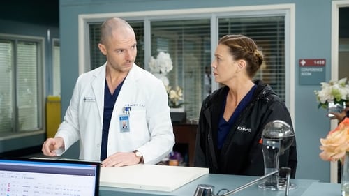 movies/2024-08-24/greys-anatomy-wWog7H662dJiMAienHdicuPZu7z.jpg