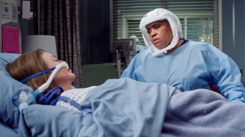 movies/2024-08-24/greys-anatomy-wk8p33jcTd1ZXJvuPVeumnGQut8.jpg