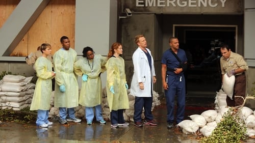 movies/2024-08-24/greys-anatomy-wyOTHzMBmMlJf7HFiXAtk6hWh1S.jpg