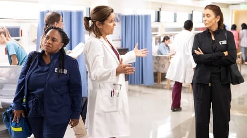 movies/2024-08-24/greys-anatomy-x55gjOxoXn0IgpbdjNpa1aLpa1K.jpg