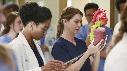 movies/2024-08-24/greys-anatomy-xAKyPBoPUh7yBULT9P0VDKXlEI8.jpg