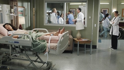movies/2024-08-24/greys-anatomy-xNinPp3e9gh6ELDv8k7kOsrUQZy.jpg