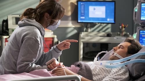 movies/2024-08-24/greys-anatomy-xOGCNH4a2tTzfr3NEx0zb33MrYK.jpg