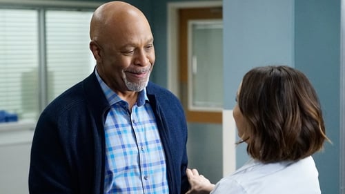 movies/2024-08-24/greys-anatomy-xi2exqLWqmimubrLhYGwV8KgFOh.jpg