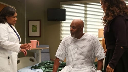 movies/2024-08-24/greys-anatomy-yJRzQoOaZRECq2HPUsQdm0offTV.jpg