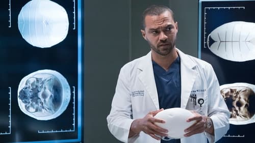 movies/2024-08-24/greys-anatomy-yZtq9pF6LvUgCS6h69CGqgLJMCT.jpg