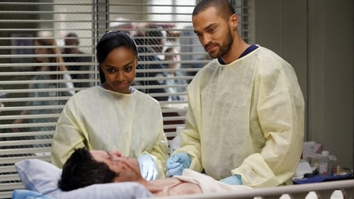 movies/2024-08-24/greys-anatomy-z3LNcH6MhKw5KmIEeFJtUDg3fdl.jpg