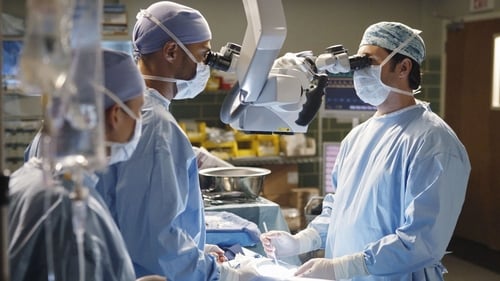 movies/2024-08-24/greys-anatomy-z9YrqnCOZOafpksxJiLKRSLqNli.jpg