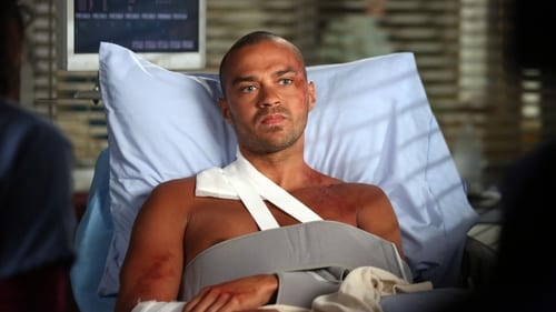 movies/2024-08-24/greys-anatomy-zBG528AQK5PB6gsCAyifHDjPtv5.jpg