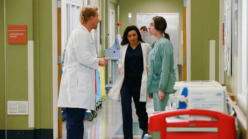 movies/2024-08-24/greys-anatomy-zaRrtNNTXMgHNiR7HH8iWAzRdWh.jpg