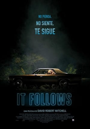 Está Detrás De Ti - It Follows (2015)