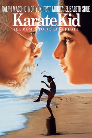 Karate Kid - The Karate Kid (1984)