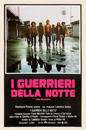 I guerrieri della notte - The Warriors (1979)