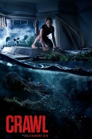 Terreur dans la tempête - Crawl (2019)