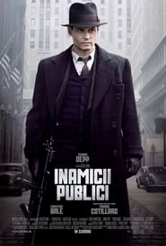 Inamici publici - Public Enemies (2009)