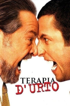 Terapia d'urto - Anger Management (2003)