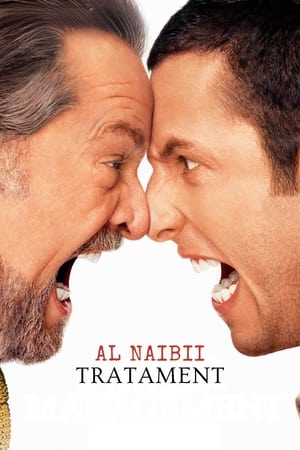 Al naibii tratament! - Anger Management (2003)