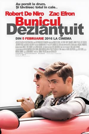 Bunicul dezlănțuit - Dirty Grandpa (2016)