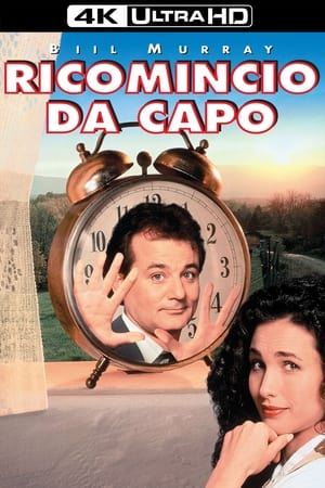 Ricomincio da capo - Groundhog Day (1993)