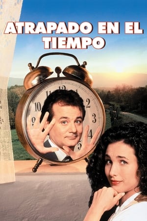 El día de la marmota - Groundhog Day (1993)