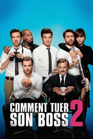 Méchants patrons 2 - Horrible Bosses 2 (2014)