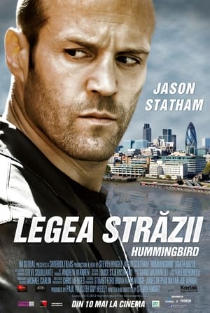 Legea străzii - Hummingbird (2013)
