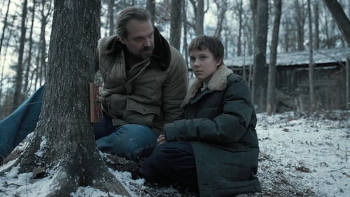 movies/2024-08-25/stranger-things-792NQjFydcr5ucb1sga55LS6Vt3.jpg