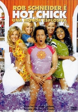 Hot Chick - Una bionda esplosiva - The Hot Chick (2002)
