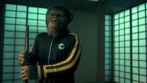movies/2024-08-25/the-umbrella-academy-8G4tssxLmtqJx4CUNRdSM39tdl7.jpg