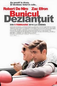 Bunicul dezlănțuit - Dirty Grandpa (2016)