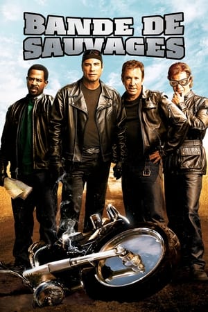 Les fous de la moto - Wild Hogs (2007)