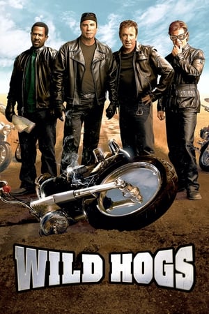 Gașca nebună - Wild Hogs (2007)