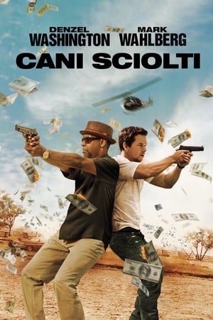 Cani sciolti - 2 Guns (2013)